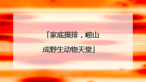 家底摸排，崂山成野生动物天堂