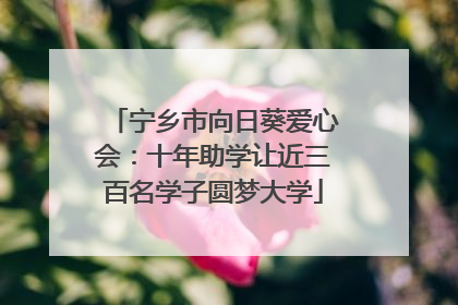 宁乡市向日葵爱心会：十年助学让近三百名学子圆梦大学