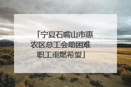 宁夏石嘴山市惠农区总工会助困难职工重燃希望