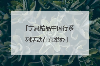 宁夏精品中国行系列活动在京举办