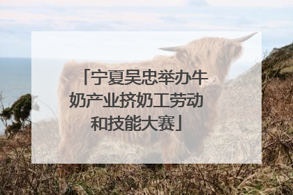 宁夏吴忠举办牛奶产业挤奶工劳动和技能大赛