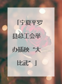 宁夏平罗县总工会举办插秧“大比武”
