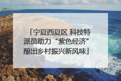 宁夏西夏区 科技特派员助力“紫色经济”酿出乡村振兴新风味