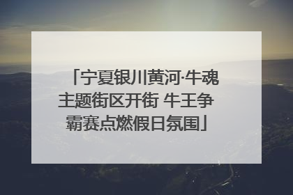 宁夏银川黄河·牛魂主题街区开街 牛王争霸赛点燃假日氛围