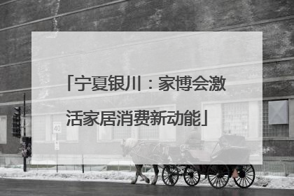 宁夏银川：家博会激活家居消费新动能