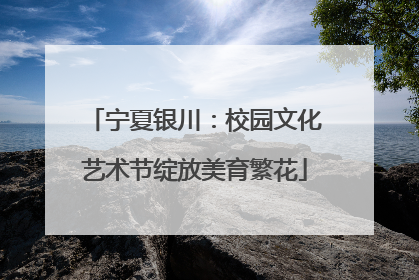 宁夏银川：校园文化艺术节绽放美育繁花