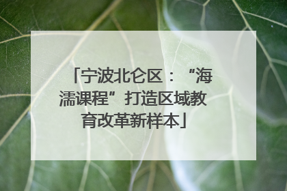 宁波北仑区：“海濡课程”打造区域教育改革新样本