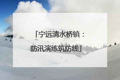 宁远清水桥镇：防汛演练筑防线