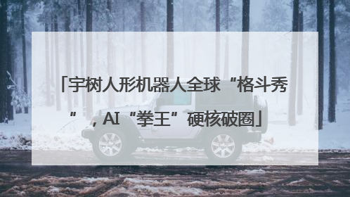 宇树人形机器人全球“格斗秀”，AI“拳王”硬核破圈