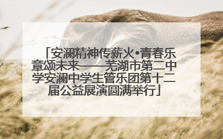 安澜精神传薪火•青春乐章颂未来——芜湖市第二中学安澜中学生管乐团第十二届公益展演圆满举行