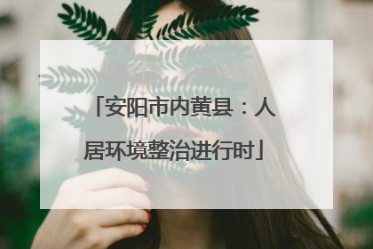 安阳市内黄县：人居环境整治进行时