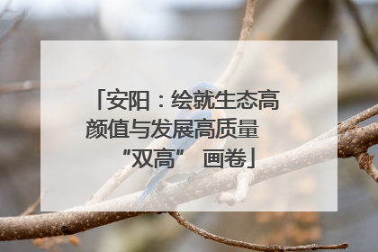 安阳：绘就生态高颜值与发展高质量 “双高” 画卷