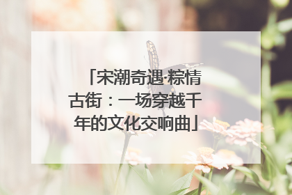 宋潮奇遇·粽情古街：一场穿越千年的文化交响曲