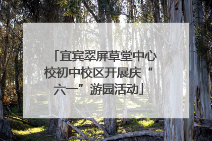 宜宾翠屏草堂中心校初中校区开展庆“六一”游园活动