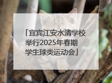 宜宾江安水清学校举行2025年春期学生球类运动会