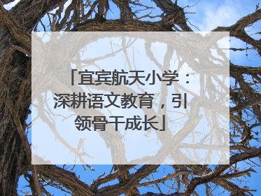 宜宾航天小学：深耕语文教育，引领骨干成长