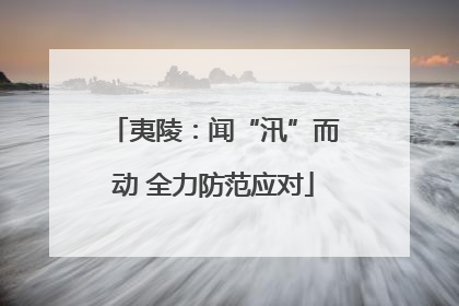 夷陵：闻“汛”而动 全力防范应对