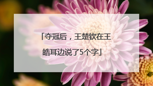 夺冠后，王楚钦在王皓耳边说了5个字