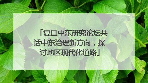 复旦中东研究论坛共话中东治理新方向，探讨地区现代化道路