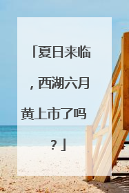 夏日来临，西湖六月黄上市了吗？