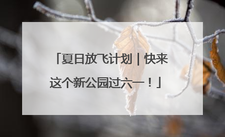 夏日放飞计划｜快来这个新公园过六一！