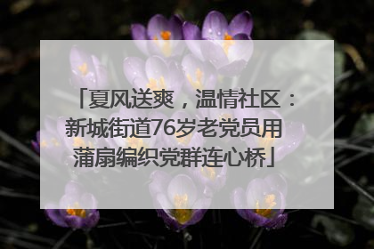 夏风送爽，温情社区：新城街道76岁老党员用蒲扇编织党群连心桥