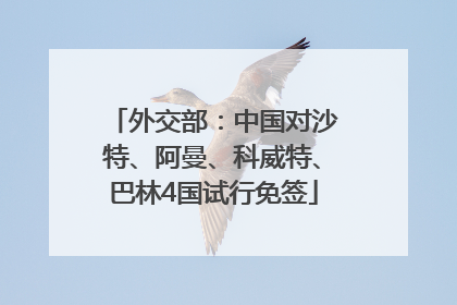 外交部：中国对沙特、阿曼、科威特、巴林4国试行免签