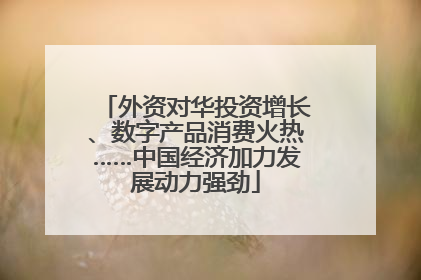 外资对华投资增长、数字产品消费火热……中国经济加力发展动力强劲