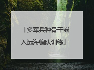 多军兵种骨干嵌入远海编队训练
