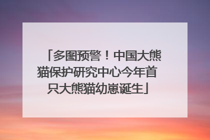 多图预警！中国大熊猫保护研究中心今年首只大熊猫幼崽诞生