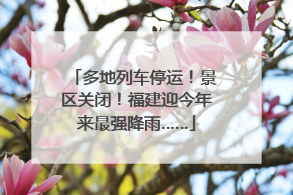 多地列车停运！景区关闭！福建迎今年来最强降雨……