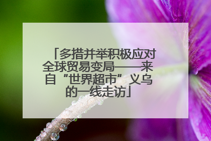 多措并举积极应对全球贸易变局——来自“世界超市”义乌的一线走访