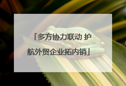 多方协力联动 护航外贸企业拓内销