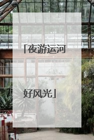 夜游运河好风光