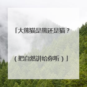 大熊猫是熊还是猫？（把自然讲给你听）