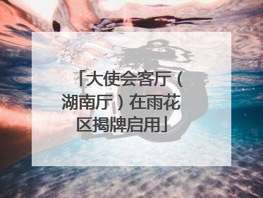 大使会客厅（湖南厅）在雨花区揭牌启用