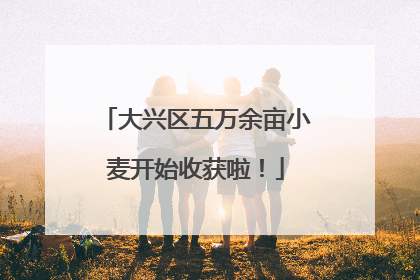 大兴区五万余亩小麦开始收获啦！