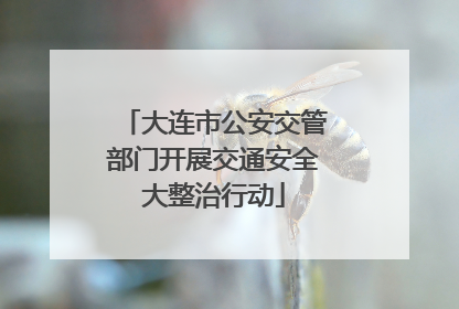 大连市公安交管部门开展交通安全大整治行动