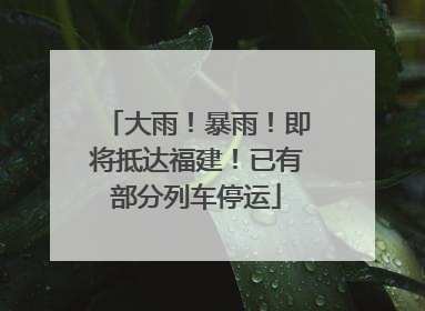 大雨！暴雨！即将抵达福建！已有部分列车停运