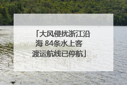大风侵扰浙江沿海 84条水上客渡运航线已停航