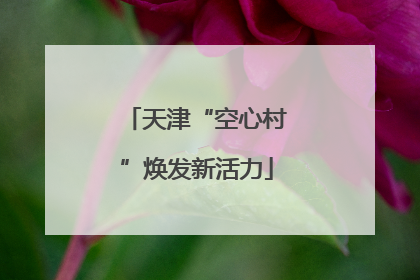 天津“空心村”焕发新活力