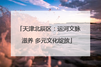 天津北辰区：运河文脉滋养 多元文化绽放