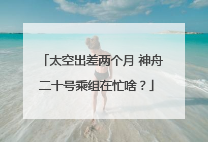 太空出差两个月 神舟二十号乘组在忙啥？
