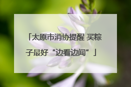 太原市消协提醒 买粽子最好“边看边闻”