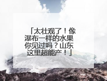 太壮观了！像瀑布一样的水果你见过吗？山东这里超能产！
