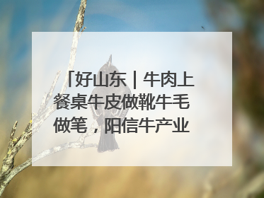 好山东｜牛肉上餐桌牛皮做靴牛毛做笔，阳信牛产业“超级牛”
