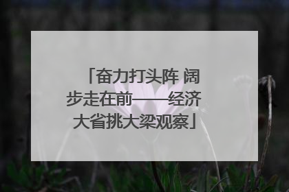 奋力打头阵 阔步走在前——经济大省挑大梁观察