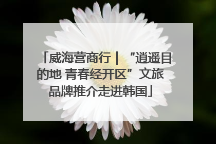 威海营商行｜“逍遥目的地 青春经开区”文旅品牌推介走进韩国
