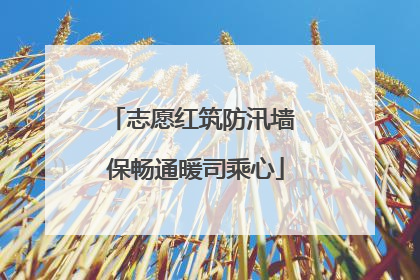 志愿红筑防汛墙 保畅通暖司乘心