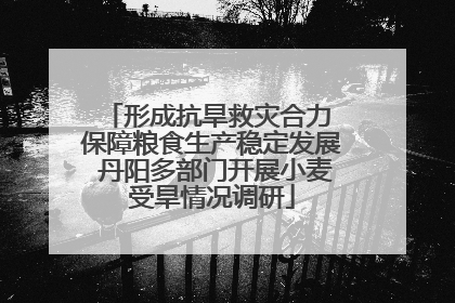 形成抗旱救灾合力 保障粮食生产稳定发展 丹阳多部门开展小麦受旱情况调研